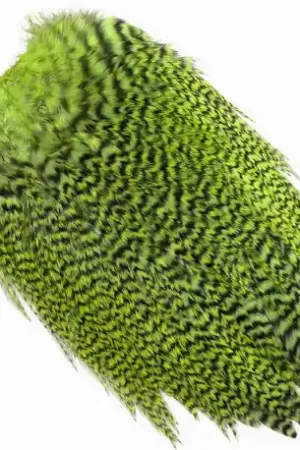 Cou de coq WHITING Coq de Leon Silver Saddle Grizzly dyed Fl Green Chartreuse Commander Vite