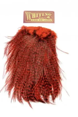Prix Réduit Cou de coq WHITING Coq de Leon Silver Saddle Grizzly dyed Red