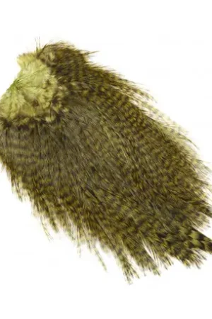 Retour Gratuit Cou de coq WHITING Coq de Leon Silver Saddle Grizzly dyed Olive