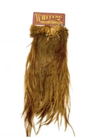 Cou de coq WHITING Coq de Leon Silver Saddle Grizzly dyed Brown Promotion Saisonnière