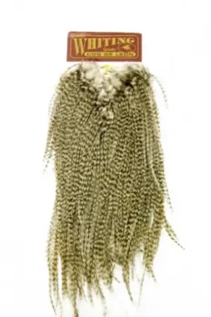 Nouveauté Cou de coq WHITING Coq de Leon Silver Saddle Grizzly Pardo