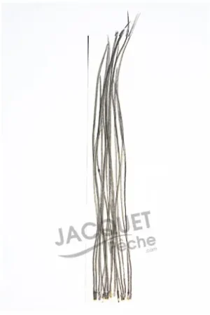 Haute Qualité American genetic dry fly saddle FLY SCENE pack Dun