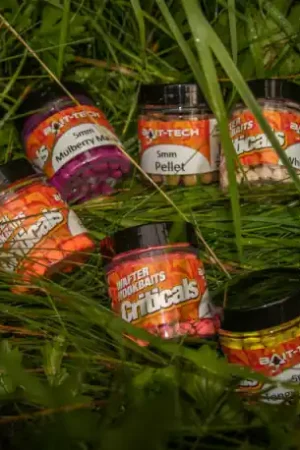 Wafter BAIT TECH criticals mulberry mania - 5mm Petit Prix
