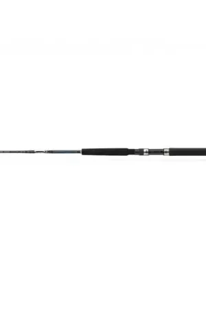 Commande En Gros Canne DAIWA exceller trolling 2m15 10-20lbs