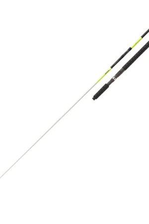Canne DAIWA Sealine X'treme trolling 2m35 30-50lbs Produit De Marque