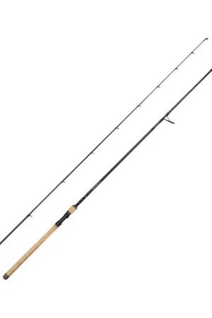 Canne SAVAGE GEAR SG2 salmonoid medium game 3m05 9-35gr Seulement Aujourd'hui