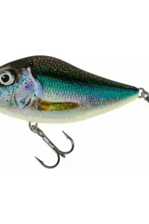 Leurre SALMO Slider FLOTTANT 10cm HLS Offre Exclusive
