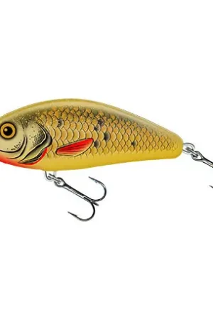 Acheter En Ligne Leurre SALMO Fatso 10cm FLOTTANT GBA