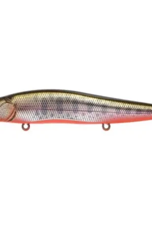 Leurre MEGABASS Vision oneten 11cm Yamame RB Retour Gratuit