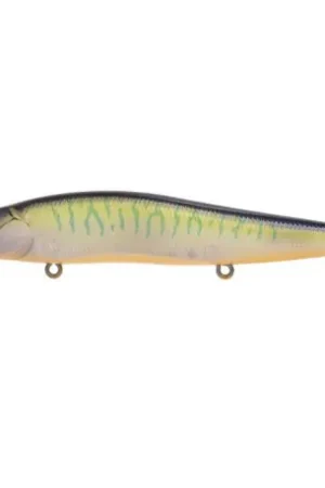 Livraison Express Leurre MEGABASS Vision oneten 11cm SG Kasumi reaction