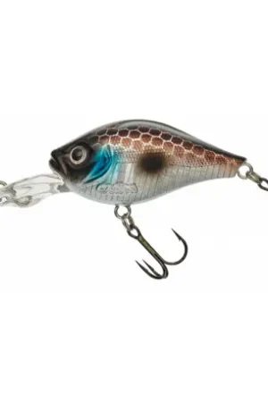 Quantité Limitée Leurre GUNKI D-Gigan 39F Anchor