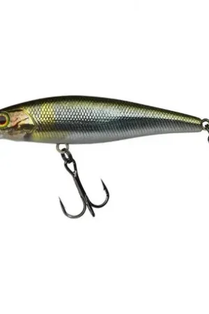 Retour Gratuit Leurre ILLEX Squad minnow 65 SP RT Waka ayu