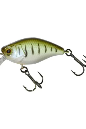 Must-Have Leurre ILLEX micro chubby 3cm vairon