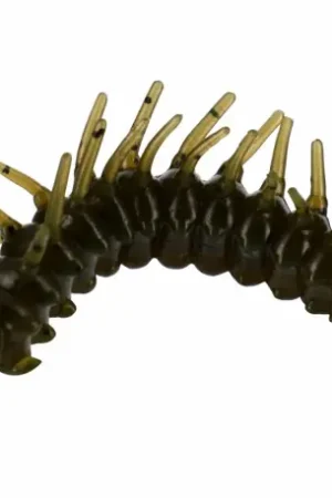 Soldes Leurre ILLEX Magic larva 1.34'' Green pumpkin pepper