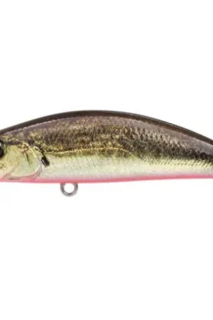 Expédition Rapide Leurre DUO Spearhead ryuki 4.5cm S ANAZ334