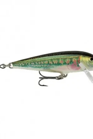 Meilleure Vente Leurre RAPALA Countdown 5cm MN