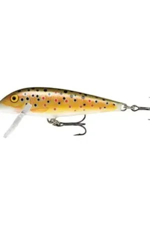 Leurre RAPALA Original floating 5 cm TR Super Prix