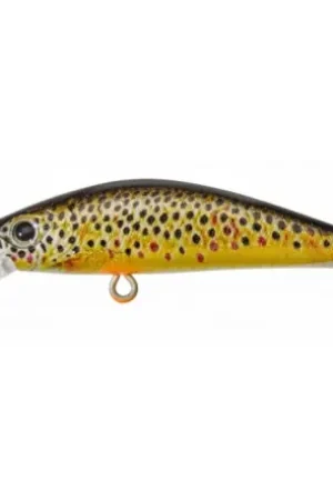 Dernière Chance Leurre GUNKI Gamera 50 SP Fario