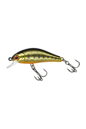 Leurre GUNKI rodan 40 shw acid trout/gold Offre Du Jour