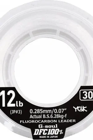 Fluorocarbone YGK G-soul DFC 100% 0.37mm 9.48kg 30m Offre Limitée