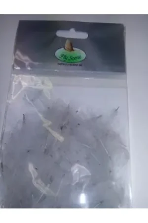 Dernier Modèle Cul de canard FLY SCENE Gris