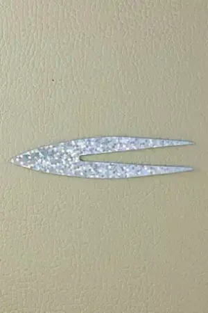 Affaire À Saisir PACCHIARINI'S Double Tails XL Holographic Silver