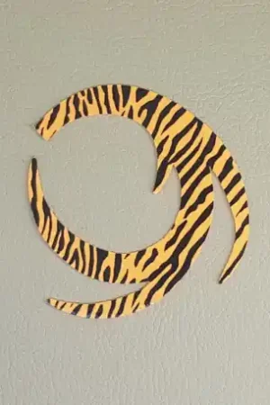 PACCHIARINI'S Dragon Tails XL Orange Fluo barred Certifié