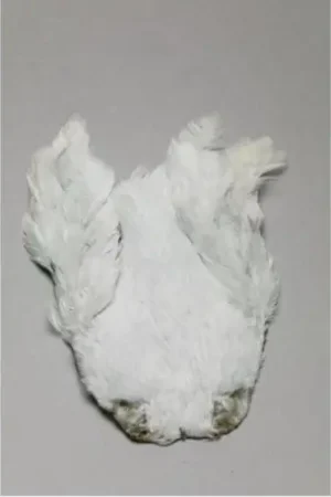 Meilleure Vente Cou de poule FLY SCENE Blue Dun