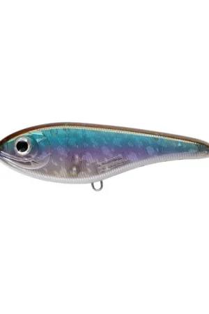 Satisfait Ou Remboursé Leurre STRIKE PRO Buster jerk silent 15cm 500G