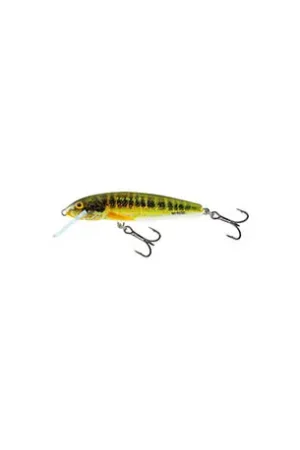 Leurre SALMO Minnow 5cm FLOTTANT Holo real minnow Offre Spéciale