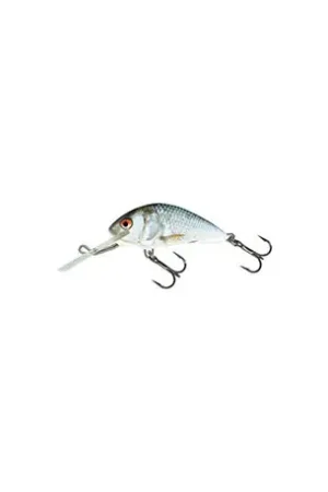 Usine Directe Leurre SALMO Hornet 4cm COULANT Real Dace