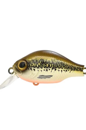 Usine Directe Leurre ZIP BAITS B-Switcher 1.0 Silent NO RATTLE GREEN BACK MINNOW OB UV