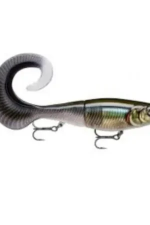 Leurre RAPALA X-RAP OTUS 17cm Smelt on the beach Achat Immédiat