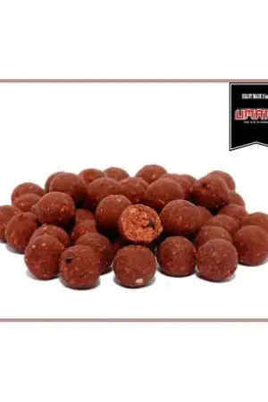 Quantité Limitée Bouillettes DREAM BAITS Umani en 20mm - 1Kg
