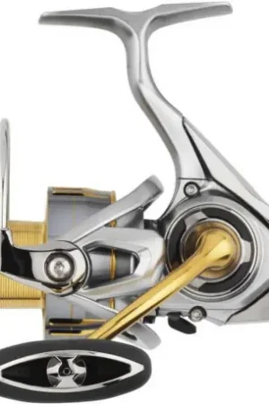 Moulinet DAIWA Freams LT 1000 Promotion Saisonnière
