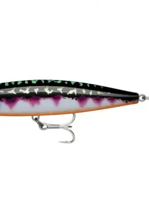 Leurre RAPALA Precision Xtreme pencil EXO 10.7cm TMN Petit Prix
