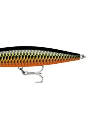 Leurre RAPALA Precision Xtreme pencil EXO 10.7cm RDAW Promotion Saisonnière