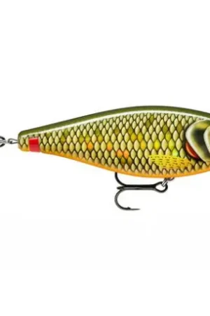 Leurre RAPALA X-rap Haku 14cm Scaled roach Dernière Chance