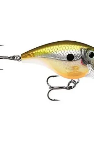 Expédié Aujourd'hui Leurre RAPALA BX Big Brat 7cm B06 Haymaker