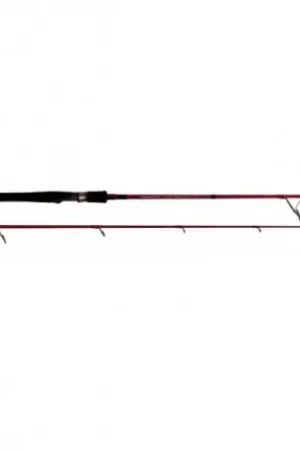 Canne TENRYU INJECTION SP 89 MH 2m70 10-35gr Prix Cassé