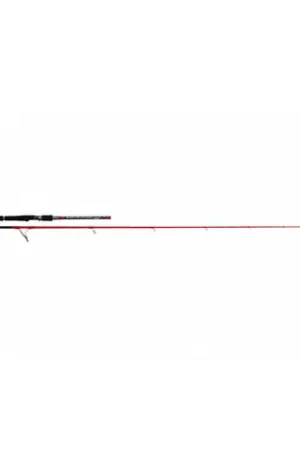 Canne TENRYU INJECTION SP 82 H LCF 2m50 30-60gr Réduction