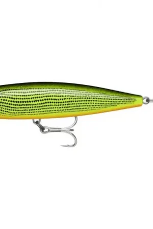 Seulement Aujourd'hui Leurre RAPALA Precision Xtreme pencil EXO 10.7cm GDR
