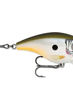 Leurre RAPALA BX Brat 5cm B06 Change up Usine Directe