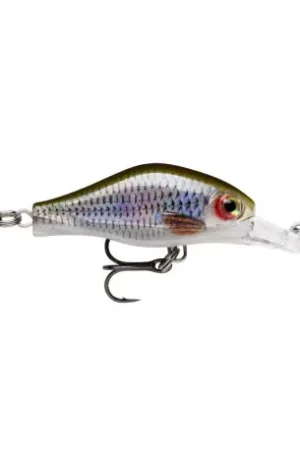Leurre RAPALA Shadow rap Fat jack 4cm Live roach Solde