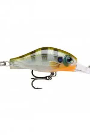 Leurre RAPALA Shadow rap Fat jack 4cm Bluegill Petit Prix
