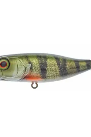 Quantité Limitée Leurre ILLEX Chubby Popper 42 RT Perch