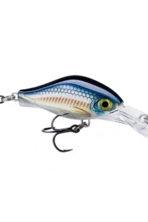 Commander Vite Leurre RAPALA Shadow rap Fat jack 4cm Live bleak