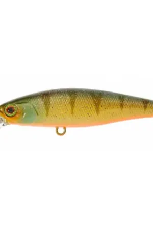 Nouveauté Leurre ILLEX Squad minnow 65 SP Agressive perch