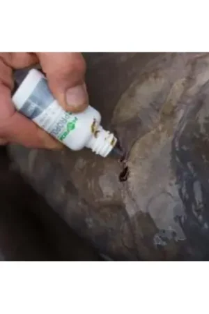 Antiseptique KORDA Propolis carp Dernier Modèle