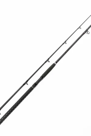 Bon Marché Canne silure overfight tank battle 3m 200gr/300gr